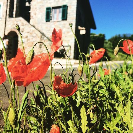 Agriturismo Angio Nel Cere Bracelli ภายนอก รูปภาพ