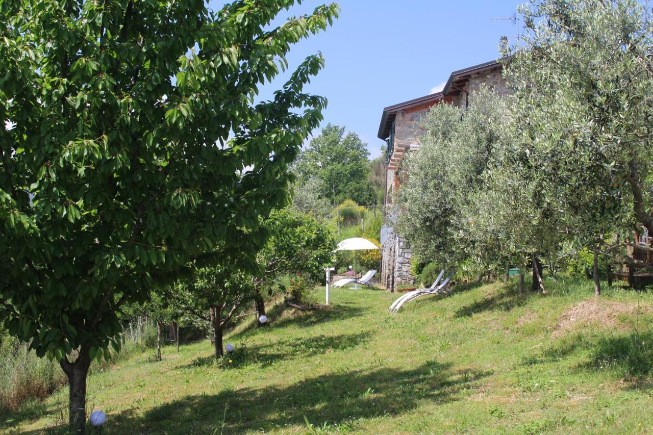 Agriturismo Angio Nel Cere Bracelli ภายนอก รูปภาพ
