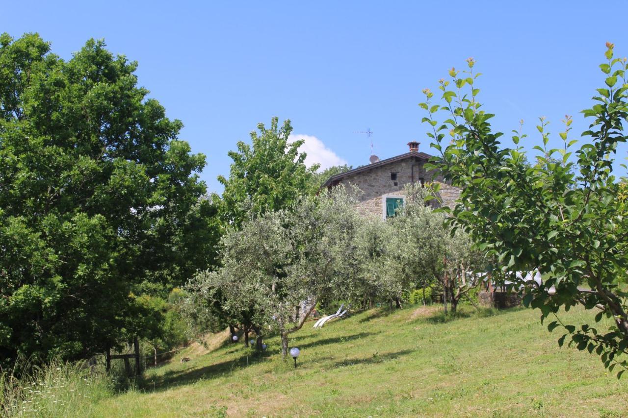 Agriturismo Angio Nel Cere Bracelli ภายนอก รูปภาพ