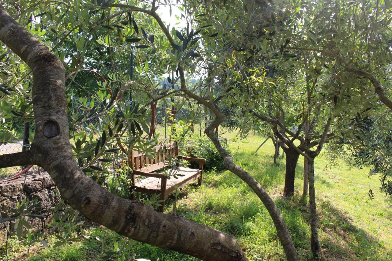 Agriturismo Angio Nel Cere Bracelli ภายนอก รูปภาพ