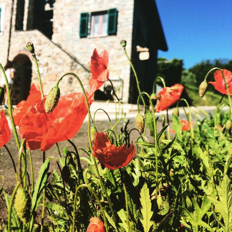 Agriturismo Angio Nel Cere Bracelli ภายนอก รูปภาพ