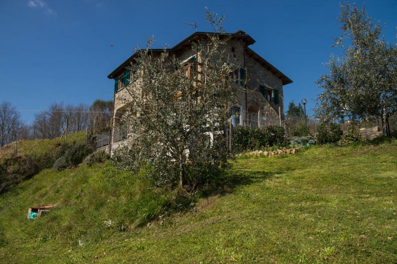 Agriturismo Angio Nel Cere Bracelli ภายนอก รูปภาพ